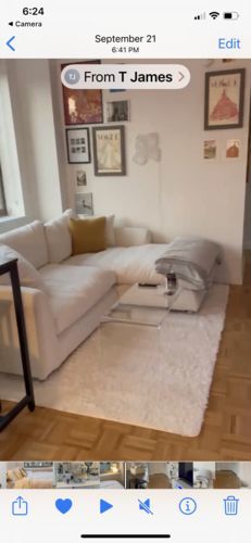 Customer photo review of Feathers Sectional