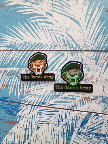 Customer photo review of 50 Custom 3" Holographic Stickers $39.99