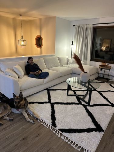 Customer photo review of Feathers Sectional