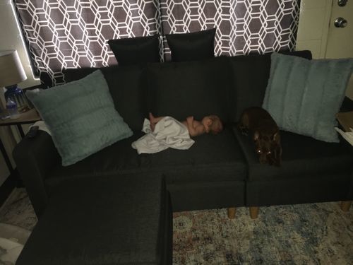 Customer photo review of Valolam Compact Sectional