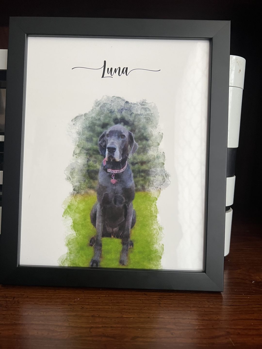 Customer photo review of Custom Pet Portrait