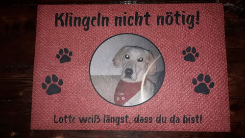 Customer photo review of Fußmatte Hund "Klingeln nicht nötig" 66 x 44 cm