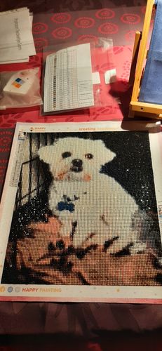 Customer photo review of Eigen Foto Diamond Painting