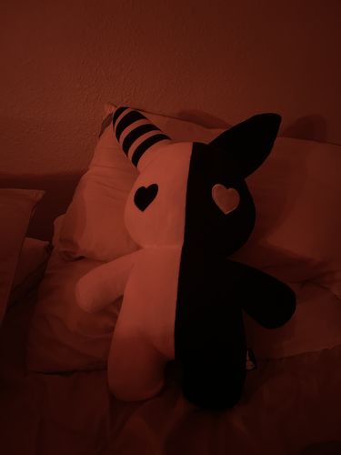 Customer photo review of Rabbit Plushie 20" (BLACK/WHITE)