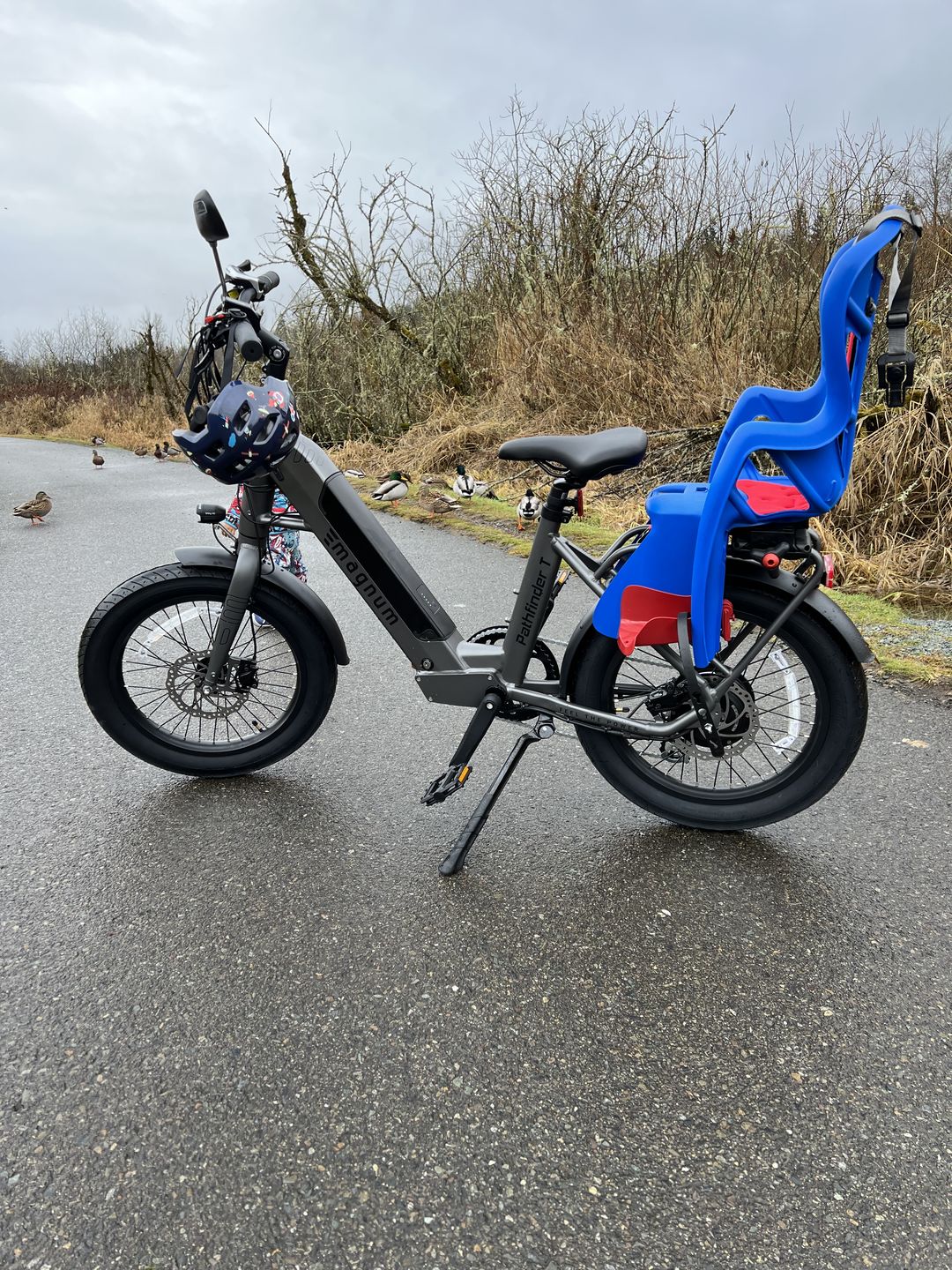 Customer photo review of Pathfinder T