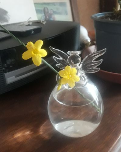 Customer photo review of Mon grand ange gardien