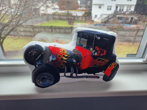 Customer photo review of Create A Custom Car Pillow