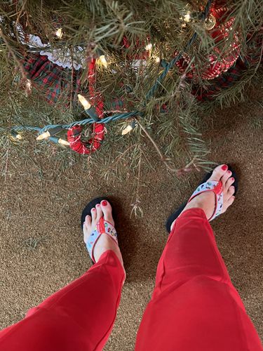 Customer photo review of Christmas Lights