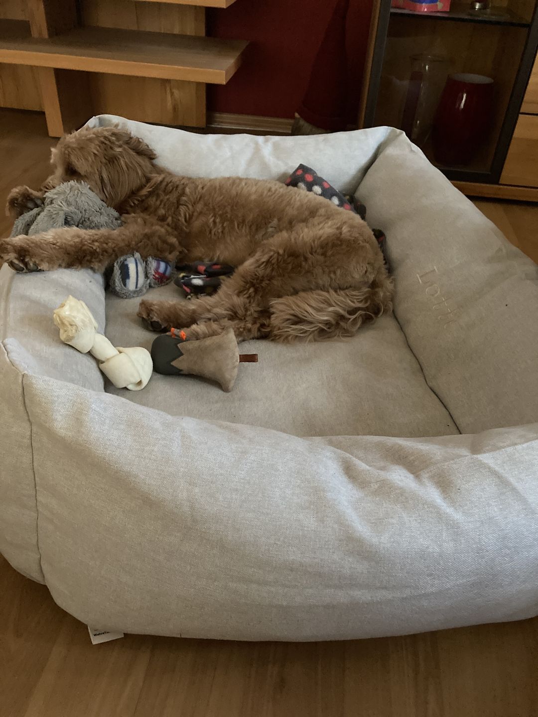 Customer photo review of Persönliche Gravur - Orthopädische Hunde Couch