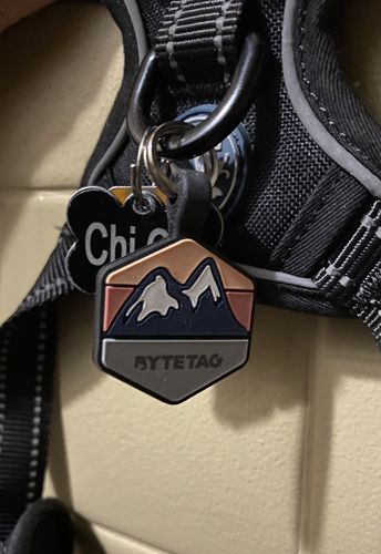 Customer photo review of Explorer Silicone