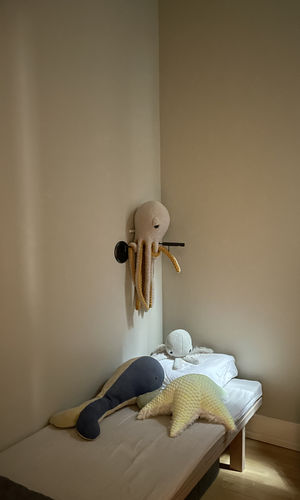 Customer photo review of The Mini Octopus