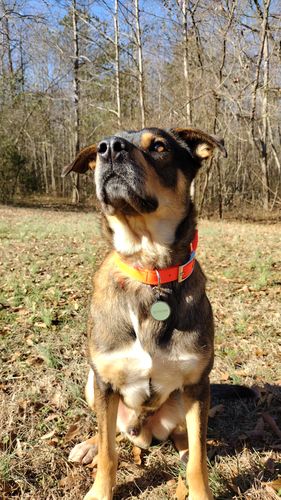 Customer photo review of Green Silicone