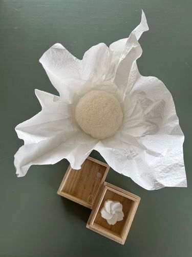 Customer photo review of MAKANAI PURE KONJAC SPONGE Pearl