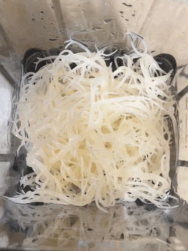 Customer photo review of Wholesale Sea Moss
