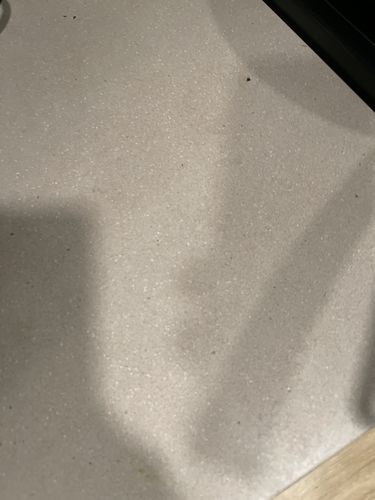 Customer photo review of Probiotic Prebiotic for Heart Health & Bloating | Microbiome Plus+