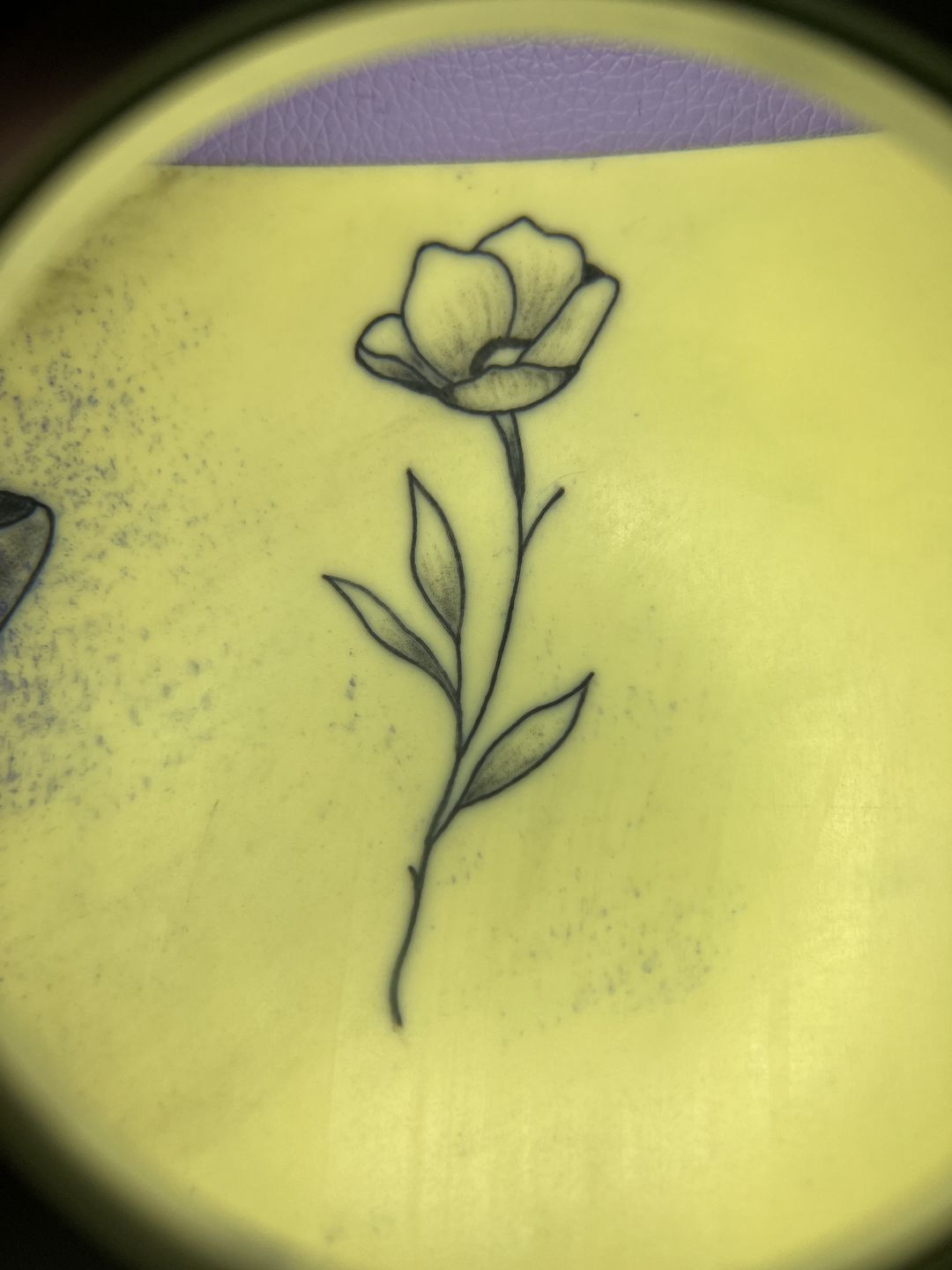 Customer photo review of PMU Online Course for Tiny Tattoos