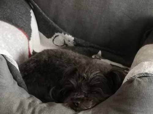 Customer photo review of Lucky Belly+