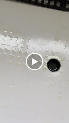 Customer video review of Weasy Cão