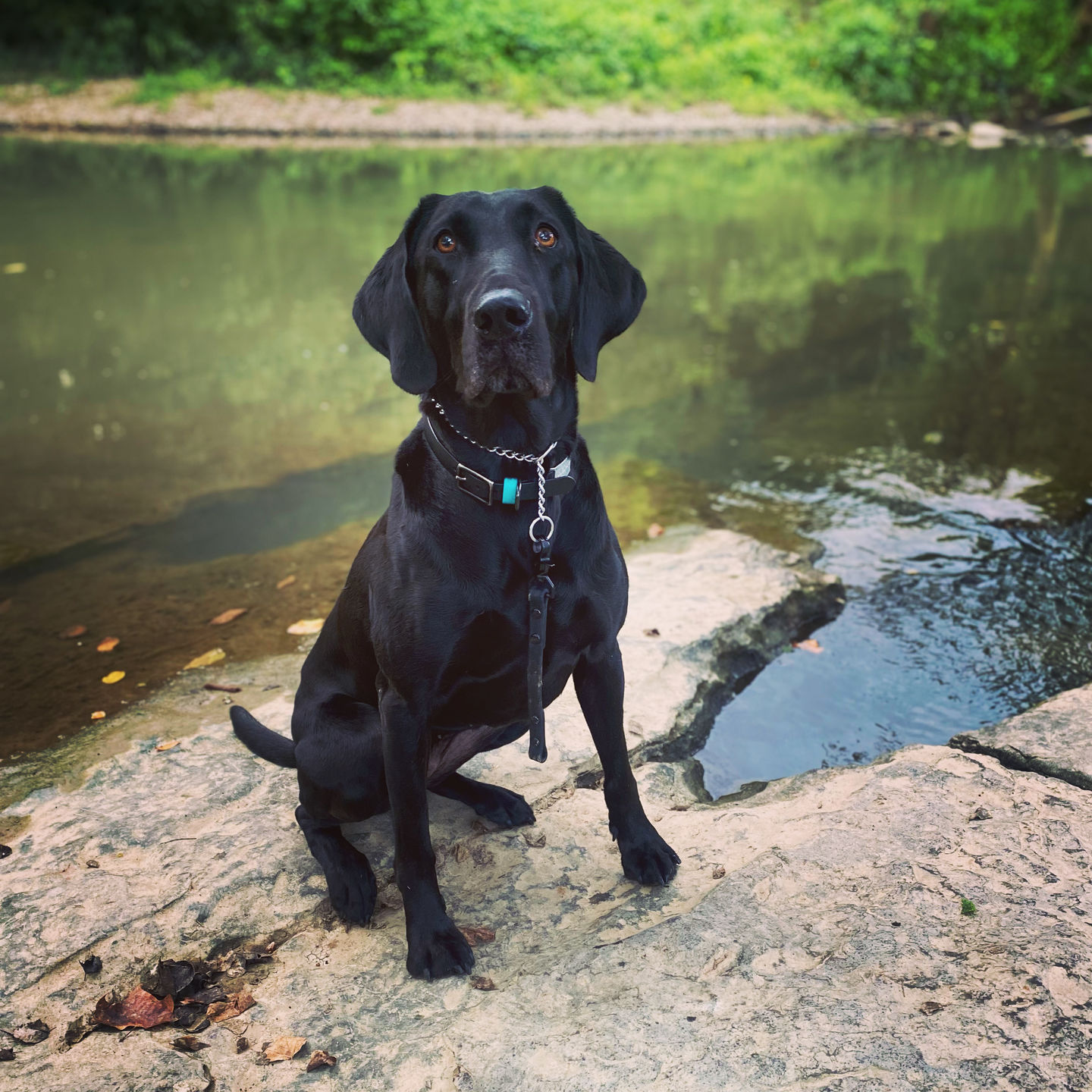 Customer photo review of Denali Training Tab