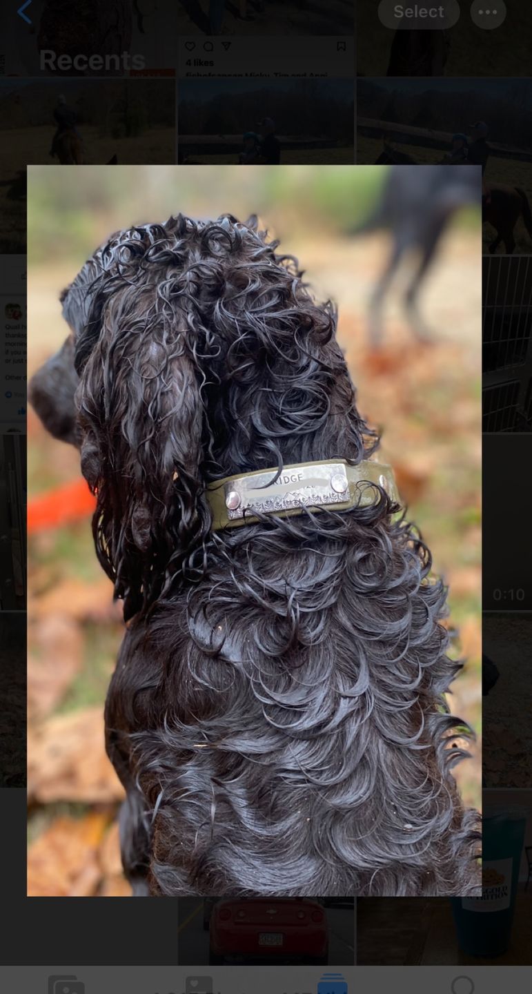 Customer photo review of Rivet-On Tag