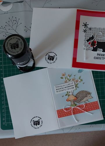 Customer photo review of Self-Inking Face Stamp