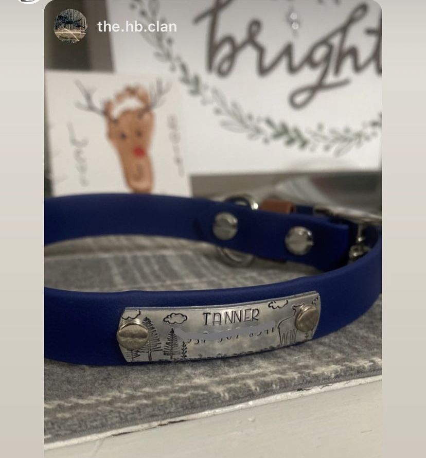 Customer photo review of Denali Center Ring Collar