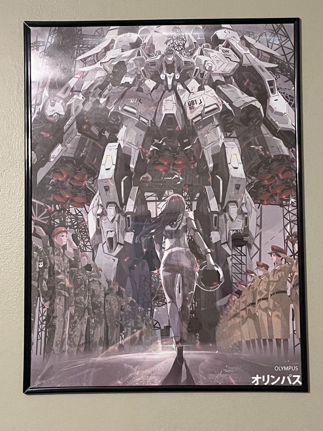 Customer photo review of Olympus (18x24)