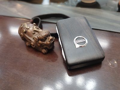 Customer photo review of Volvo Car Key Case Cover