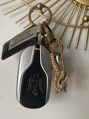 Customer photo review of Seahorse Pin Keychain