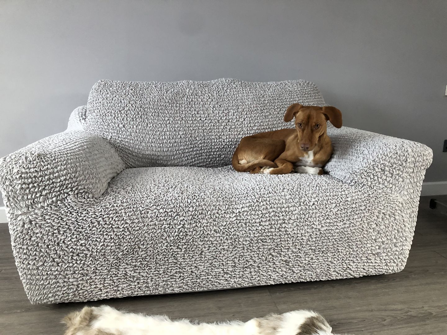 Customer photo review of 2 Seater Sofa Cover - Pearl, Microfibra