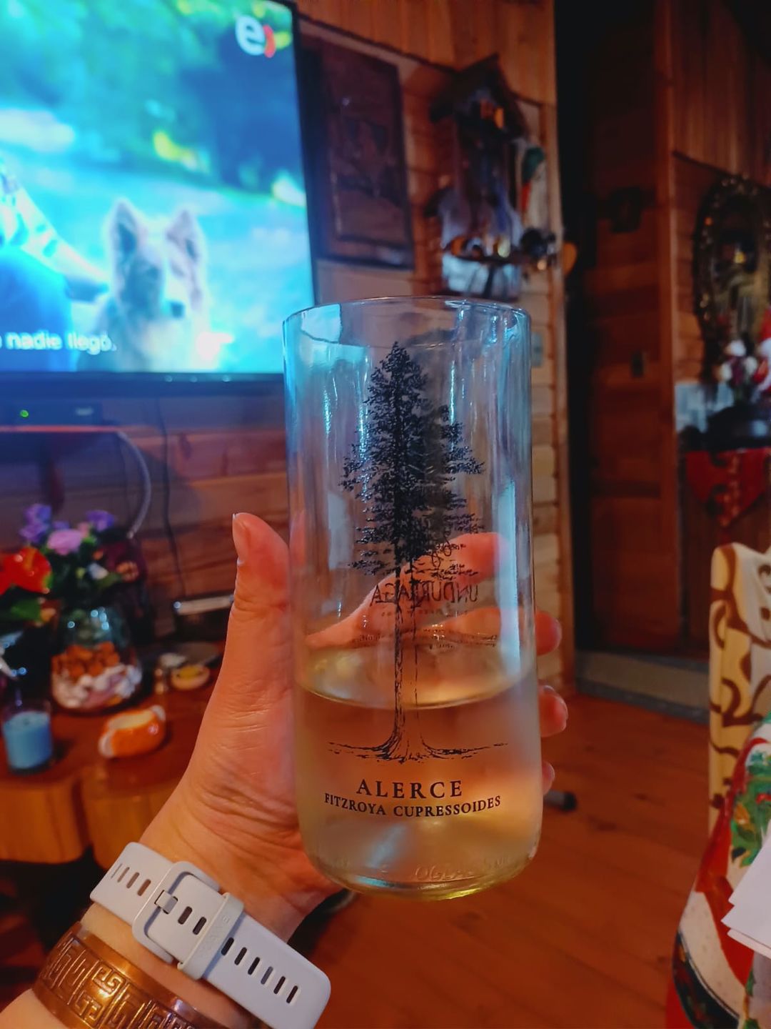 Customer photo review of Juego de 6 Vasos Árboles de Chile