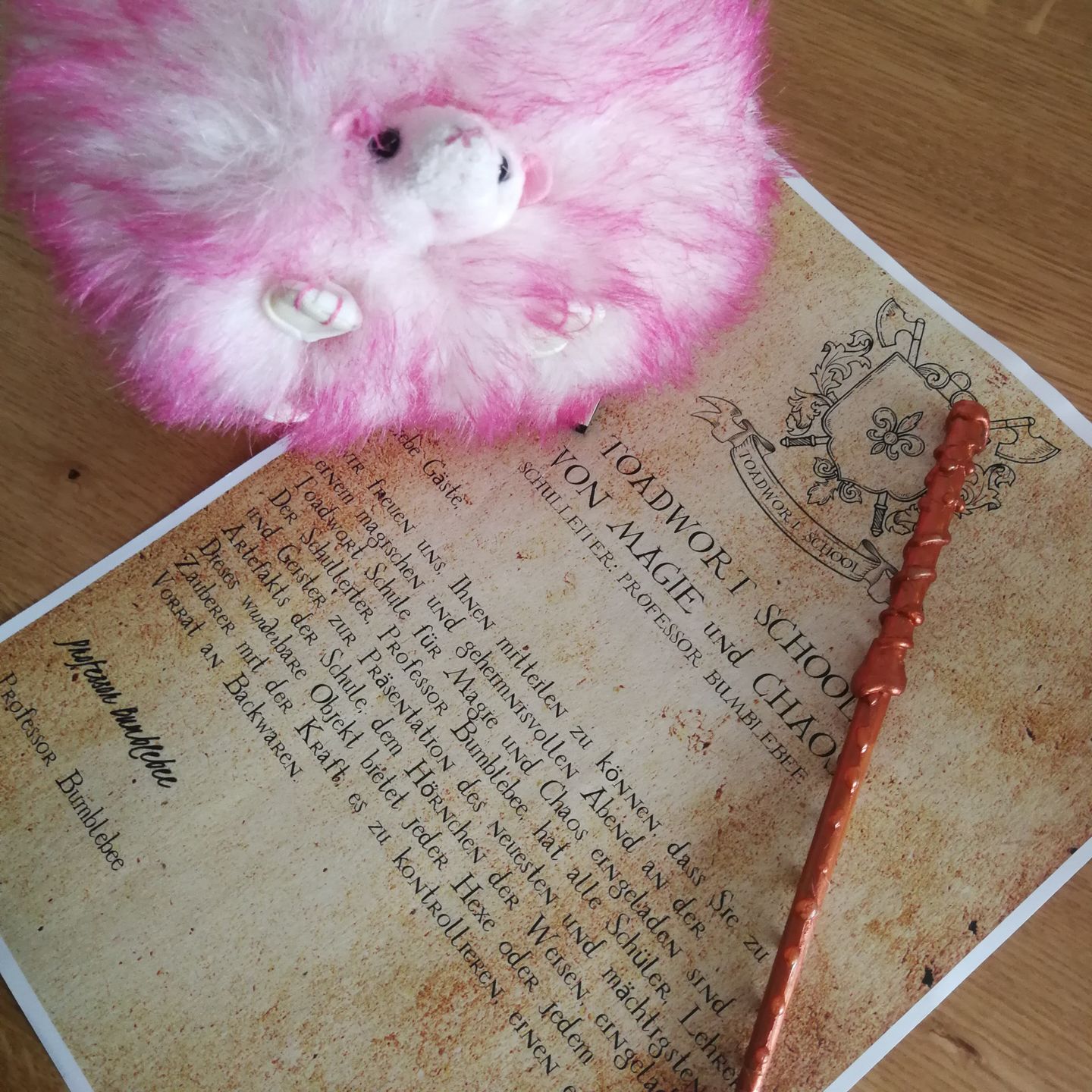 Customer photo review of Wizarding Murder Mystery Game Kit