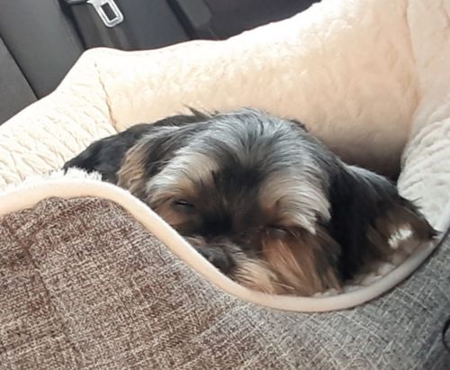 Customer photo review of Relax Time