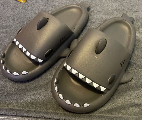 Customer photo review of The Original Shark Slides