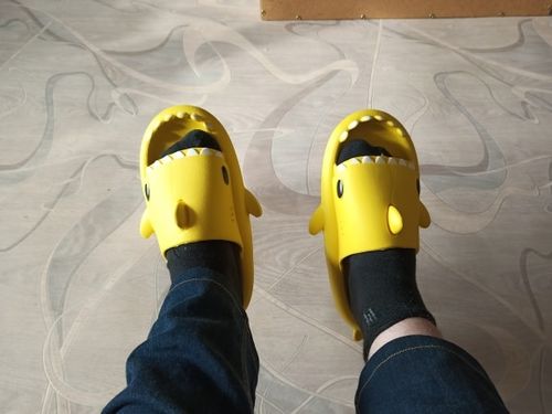 Customer photo review of The Original Shark Slides