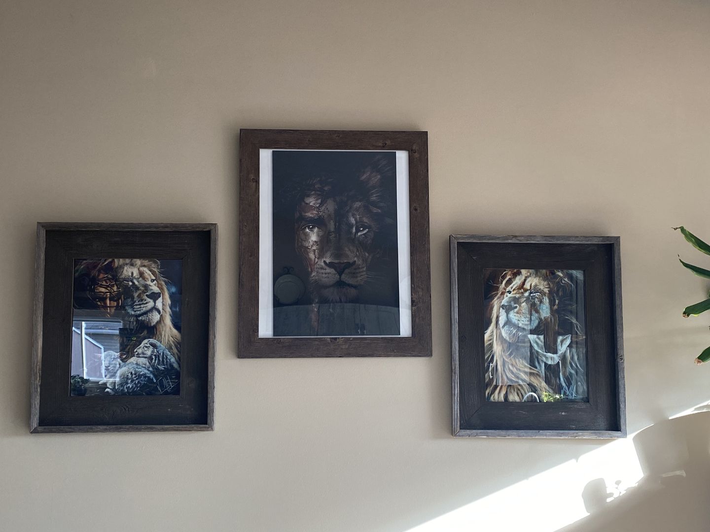 Customer photo review of Eternal Reign