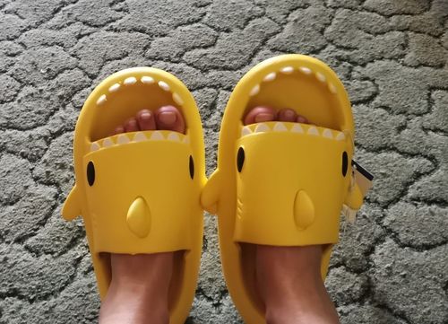 Customer photo review of The Original Shark Slides