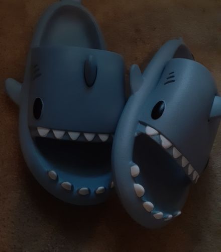 Customer photo review of The Original Shark Slides