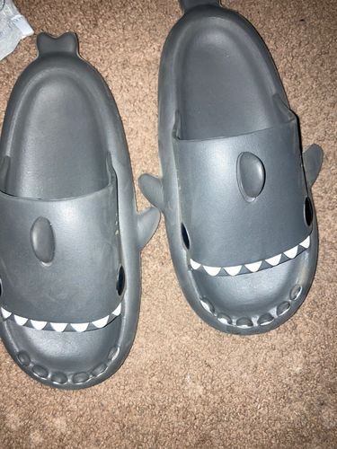 Customer photo review of The Original Shark Slides