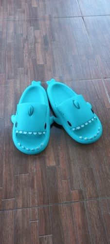 Customer photo review of The Original Shark Slides