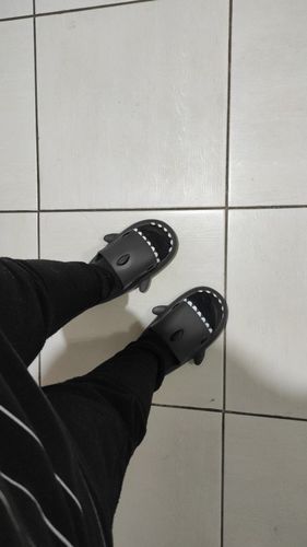 Customer photo review of The Original Shark Slides