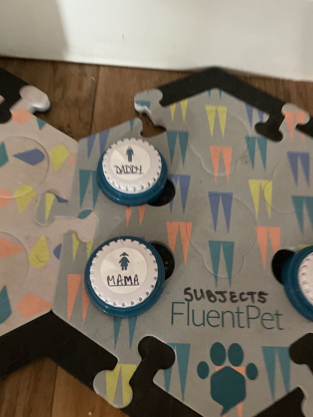 Customer photo review of Speak Up Button Multi-Packs
