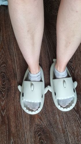 Customer photo review of The Original Shark Slides