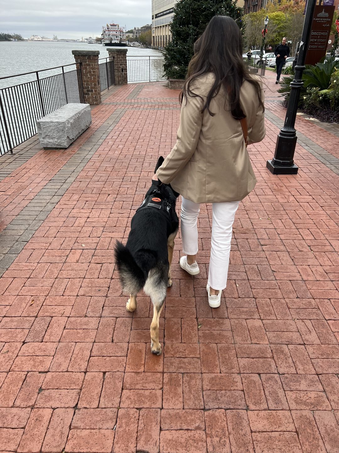 Customer photo review of Tactical No Pull Dog Harness v2