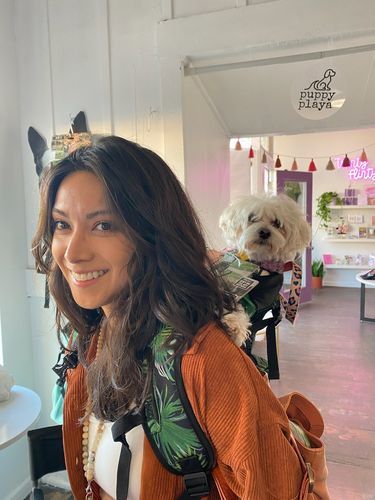 Customer photo review of K9 Sport Sack® AIR 2