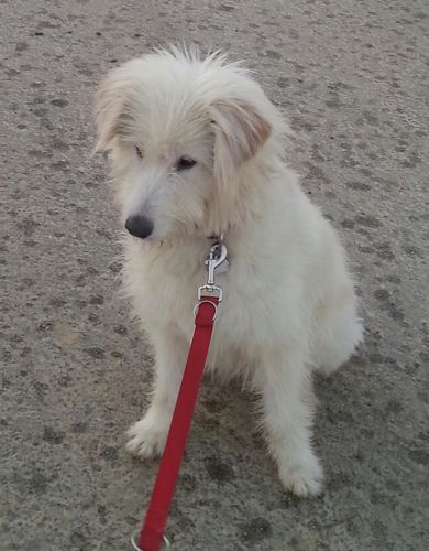 Customer photo review of Forever Young