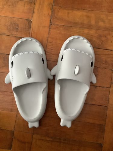 Customer photo review of The Original Shark Slides