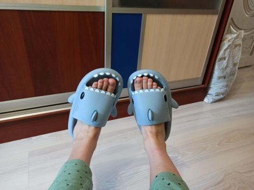 Customer photo review of The Original Shark Slides