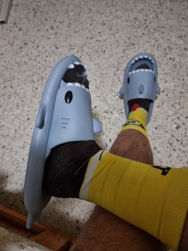Customer photo review of The Original Shark Slides