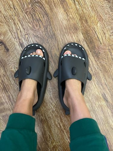 Customer photo review of The Original Shark Slides